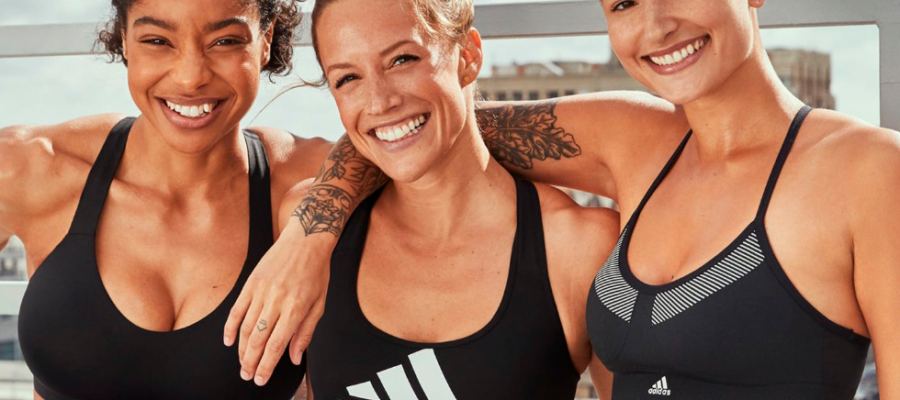 cómo elegir el modelo perfecto